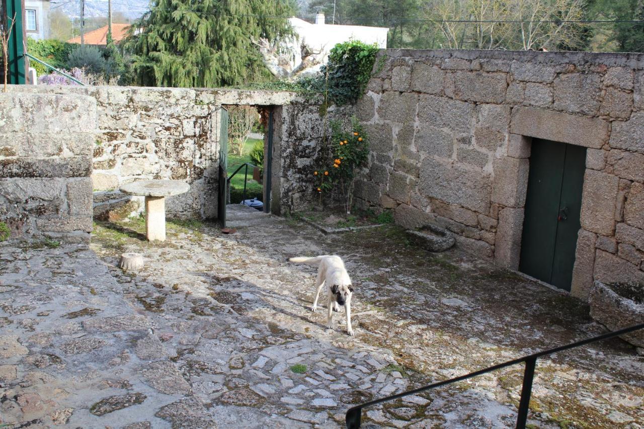 Casa Do Brigadeiro Ξενοδοχείο Lajeosa  Εξωτερικό φωτογραφία